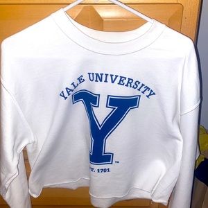 Yale University Cropped Sweatshirt